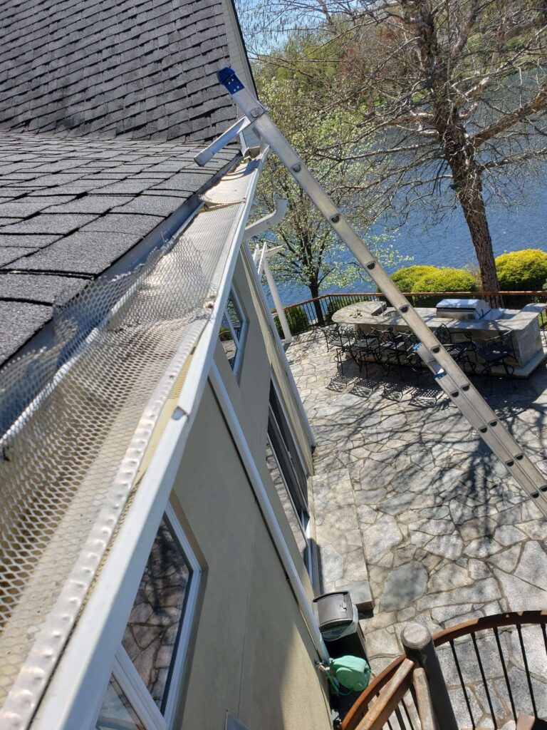 professional+gutter+cleaning+services